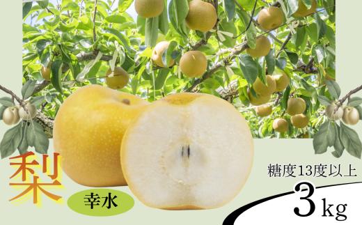 【2026年先行予約】梨 幸水 糖度13度以上 約3kg | 果物 くだもの フルーツ 幸水梨 梨 なし ナシ 新鮮 長野県 信州 南信州 飯田市