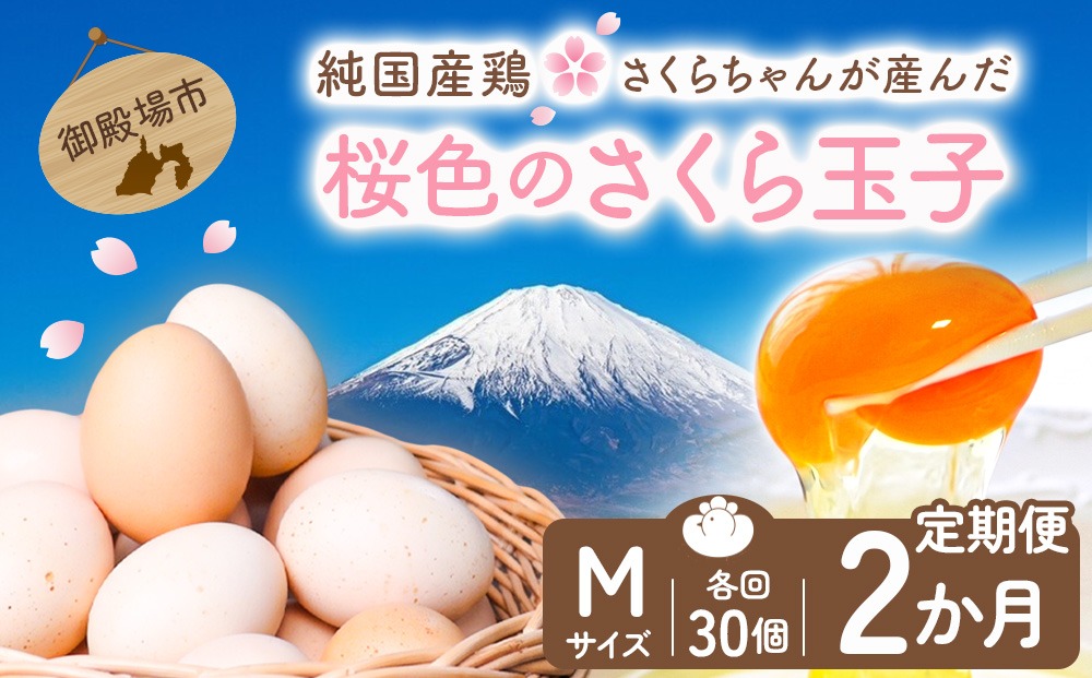 【定期便2ヵ月】純国産鶏さくらちゃんが産んだ桜色のさくら玉子 五分咲き（Mサイズ）30個 ｜ 卵 鶏卵 たまご タマゴ 生卵 たまごかけご飯 濃厚 甘み 国産