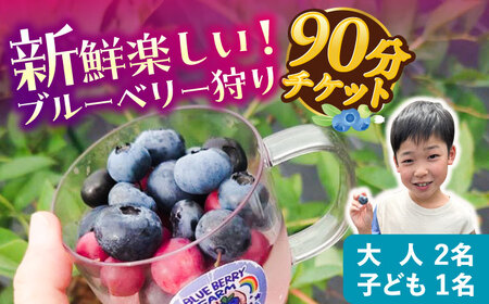 ブルーベリーファーム瑞浪 ブルーベリー狩り 90分 大人(中学生以上)2名様 ・ 子ども(小学生)1名様 チケット[AZCX002]