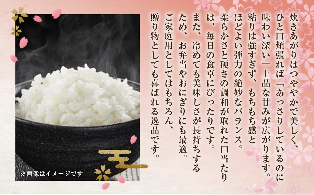 福岡県産 夢つくし 無洗米 （5kg） 