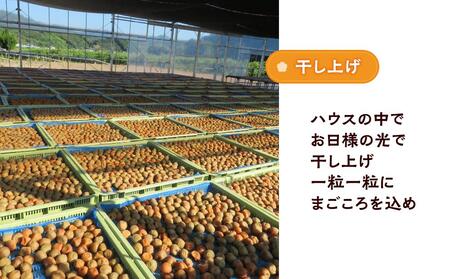 訳ありつぶれ梅干し しそ 800g×3パック 合計2.4kg 塩分 8％【つぶれ梅 梅干し シソ 梅干し シソ 梅干し 】