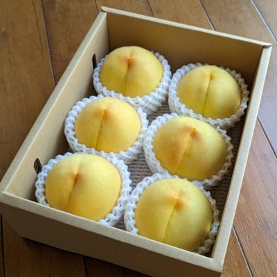 山梨市産　黄金桃　約2kg(5～8玉)【配送不可地域：離島】