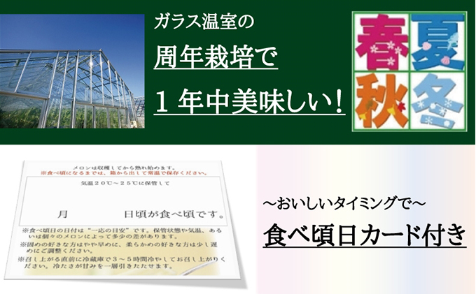 クラウンメロン　名人×1玉【6ヶ月定期便】【配送不可：離島】