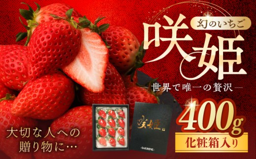 【先行予約 2027年1月〜発送】【際立つ甘さ！】幻のいちご『咲姫』（化粧箱入り400g）【中村いちご農園】  佐賀県 白石 [ICB002]