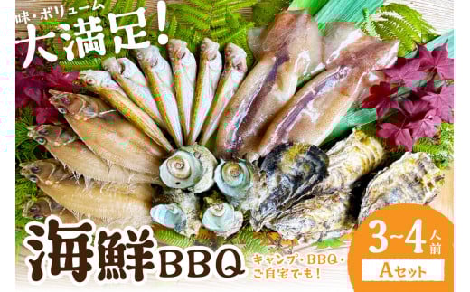大満足！京丹後・海鮮BBQ　Aセット　5種20品（3～4人前）　魚介類 さざえ 蠑螺 カキ かき いか バーベキュー ばーべきゅー きゃんぷ アウトドア あうとどあ 個包装 冷凍 送料無料　YK00366