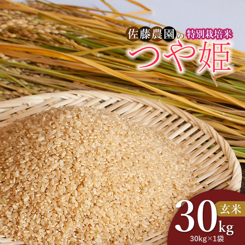 【令和7年産】特別栽培米つや姫 玄米 30kg(30kg×1袋)　山形県鶴岡市 佐藤農園