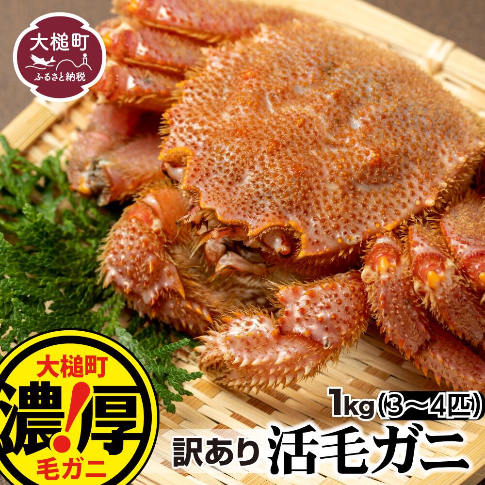 【ふるさと納税】【令和9年発送】※訳あり※ 活毛ガニ 1kg(2杯)(3～4杯)～10kg 天然 毛蟹 冷蔵 発送 新鮮 活かに ≪ 2027年 2月〜4月発送≫ 期間限定 岩手県大槌町 三陸 いわて iwate