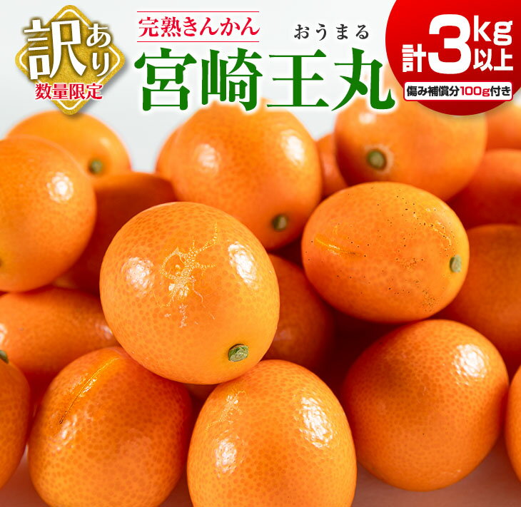 【ふるさと納税】先行予約 訳あり 完熟 きんかん 宮崎王丸 計3kg以上 傷み補償分入り 数量限定 期間限定 フルーツ 果物 くだもの 柑橘 金柑 訳アリ おすすめ おすそ分け ご家庭用 ご自宅用 お取り寄せ 国産 食品 デザート おやつ 甘露煮 産地直送 宮崎県 日南市 送料無料