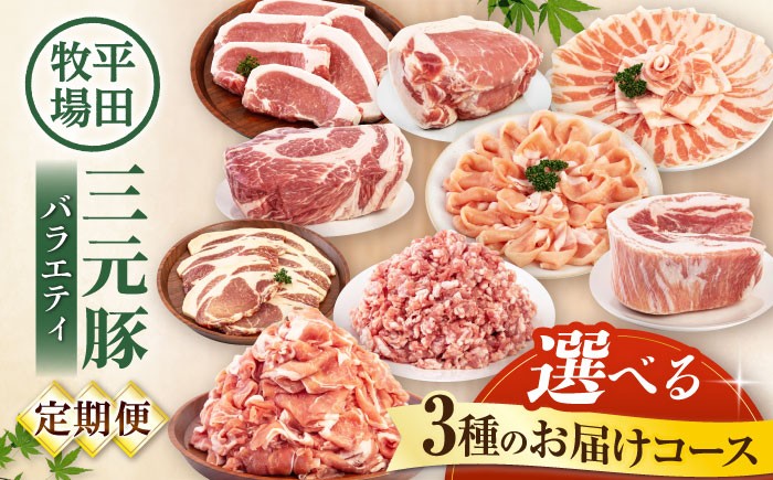 
                  【選べるコース】平田牧場 バラエティ定期便 2~3人前 《喜茂別町》【平田牧場】 肉 豚肉 ロース バラ肉 ステーキ セット 定期便 北海道 平田牧場 三元豚 選べる えらべる [AJAP126]
                