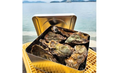 広島　安芸津産　殻付き牡蠣　カンカン焼き　約15～20個