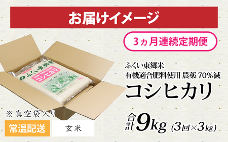 【玄米】【定期便3ヶ月連続】【先行予約】令和6年産 新米 ふくい東郷米 特別栽培米 農薬70％減 コシヒカリ 3kg×3ヶ月 合計9kg[B-020020_02]