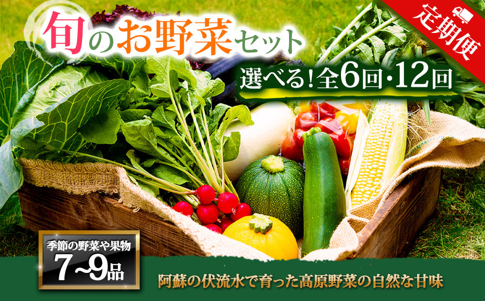 
            【選べる回【定期便】＜畑から直送＞季節のお野菜セット Lサイズ7～9品をお届け♪ 6回 12回　定期便 野菜 新鮮 野菜セット 定期便 農家直送 産地直送 野菜 厳選 こだわり 朝採れ 採れたて フレッシュ サラダ 高原野菜 フルーツ 甘い 野菜 詰め合わせ おまかせ 大地の恵み 贈り物 ギフト 便利 食卓 野菜 家族 主婦 料理 お弁当 人気 おすすめ お取り寄せ 野菜 熊本県 阿蘇市
          