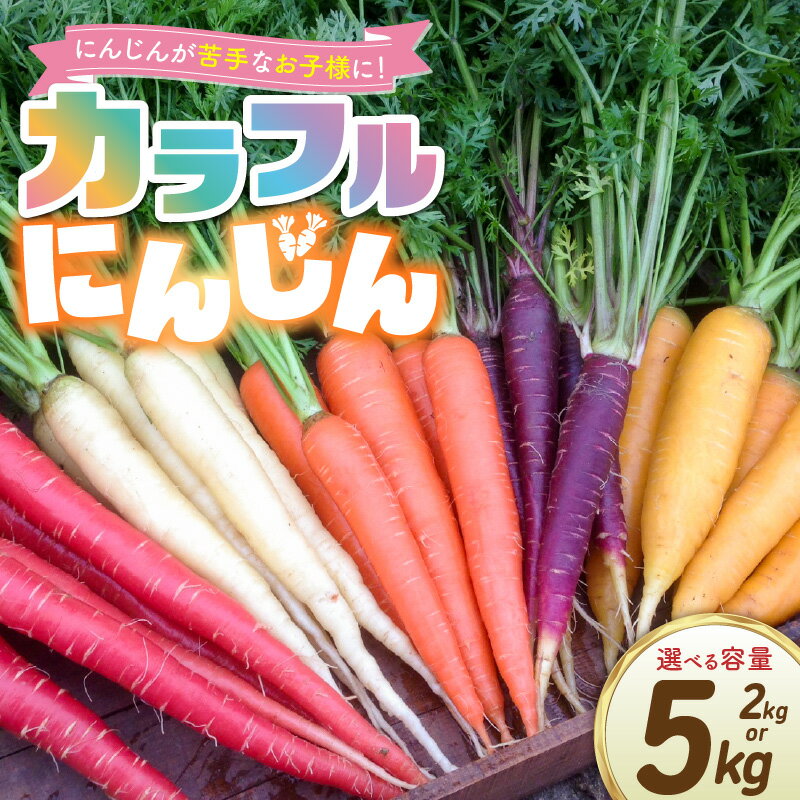 【ふるさと納税】期間限定 虹色 カラフルにんじん 選べる 容量 2kg 5kg 予約受付 人参 塩農法 野菜 農家直送 ジュース サラダスティック ギフト用 βカロテン ポリフェノール リコピン 農作物 鈴盛農園 お取り寄せ 愛知県 碧南市 送料無料