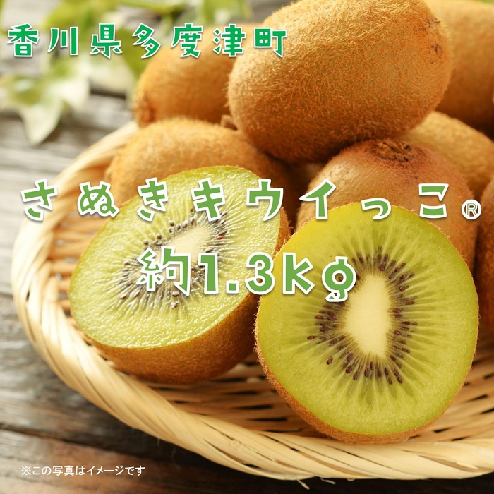 香川県オリジナルキウイフルーツ「さぬきキウイっこ約1.3kg【予約受付中！令和7年11月上旬頃から発送】【A-46】