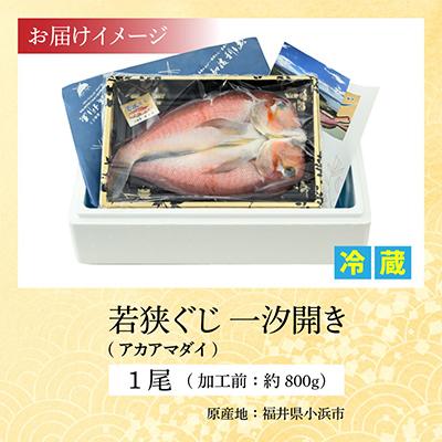 ふるさと納税 小浜市 【2025年2月下旬発送】【加福鮮魚】若狭ぐじ　一汐開き |  | 03