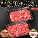 【ふるさと納税】宮崎牛切り落とし600g - 国産黒毛和牛 ブランド牛 牛肉 宮崎牛切落とし肉 300g×2パック 計600グラム 牛丼や炒め物などに 万能 beef 冷凍 国産/九州産/宮崎県産 送料無料 AA-8909【宮崎県都城市は2年連続ふるさと納税日本一！】