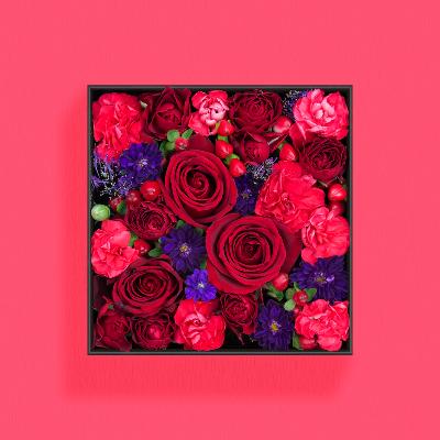 ふるさと納税 小田原市 BOXアレンジメント　レッド系　16cm