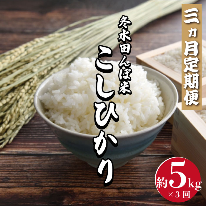 V-20 【３ヶ月定期便】冬水田んぼ米 コシヒカリ5kg　令和5年度産