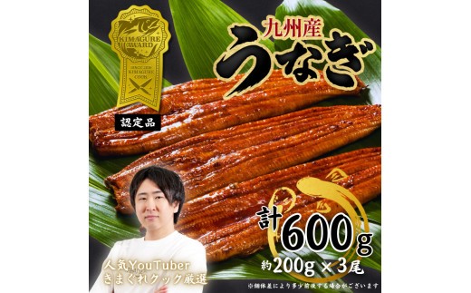 
                  【ふるさと納税】きまぐれクック厳選 うなぎ 国産 3尾 (約600g) 九州産 手焼き 鰻 蒲焼き [a1000] 夏ギフト お中元 【返礼品】福岡県 添田町 ふるさと納税
                