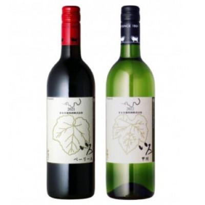 ふるさと納税 甲州市 まるき【いろシリーズ】計2本 いろベーリーA/いろ甲州