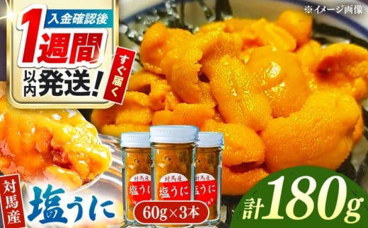 【1週間以内発送】対馬産 塩うに 60g×3本 《対馬市》【保家商事】 ウニ うに 冷凍 塩ウニ 対馬 雲丹 ムラサキウニ 紫ウニ  紫うに 人気 ランキング 長崎 九州 つしま 対馬市 海鮮 魚介 [WAA001] スピード発送 最速発送 最短発送