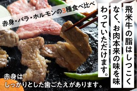 《簡易包装》飛米牛 焼肉セット（合計500g）赤身・バラ肉 各150g　味付けホルモン200g　焼肉 BBQ バーベキュー[Q763kh]