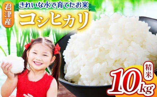 【 ９月下旬から順次発送 】　新米 令和7年産 コシヒカリ 10kg 精米 きれいな水で育てたお米 | 保坂農場 名水 おいしい水 ちばエコ農産物 君津市産 イチオシ 千葉 君津市 きみつ 房総
