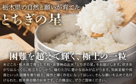 令和7年産 米 お米 とちぎの星 6ヶ月定期便 5kg JAおやま《30日以内に出荷予定(土日祝除く)》 栃木県 野木町産 コメ 米 ブランド米 とちぎのほし【栃木県共通返礼品】