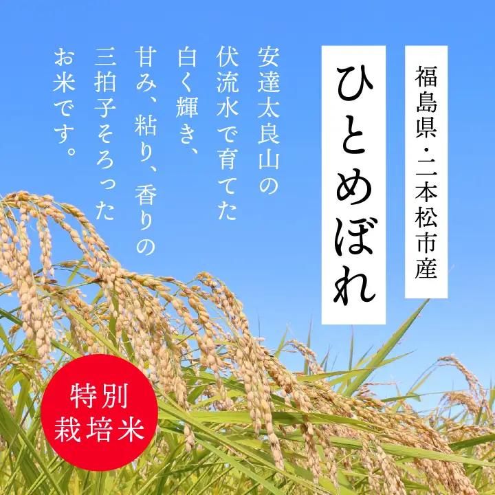 米 令和7年産 ひとめぼれ5kg【株式会社あだたら米】