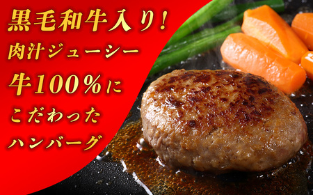 【2024年5月より順次発送】150g×20個 肉肉しい 牛100％ 黒毛和牛入り ハンバーグステーキ 計3000g SF007-1