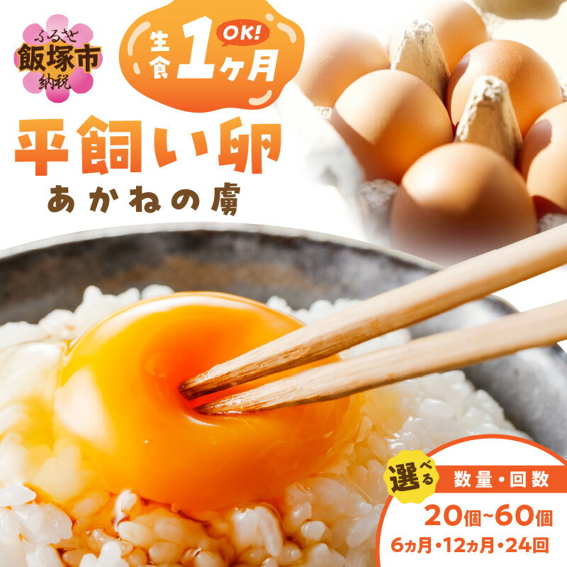 【ふるさと納税】＼お届け回数・個数が選べる！／〈平飼い卵〉あかねの虜 定期便 20個～　飯塚市 たまご 卵 玉子 平飼い 福岡 TKG たまごかけ 卵かけご飯 生卵 鶏卵 新鮮 卵料理 卵焼き オムレツ 定期 飯塚市 飯塚 ふるさと納税 卵