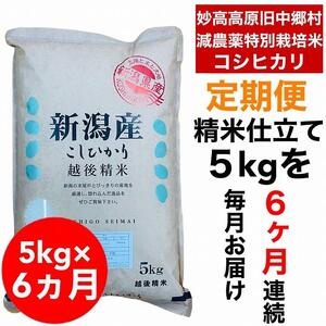 【6か月定期便】新潟県旧中郷村減農薬特別栽培米コシヒカリ 5kg（5kg×1袋）