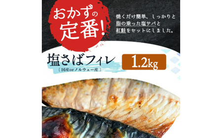 定期便【全3回/毎月お届け】大人気！ ご家庭用 塩さばフィレ＆紅鮭切身セットをたっぷりお届け定期便 / さば サバ 鯖 フィレ 鮭 サケ 切り身 切身 魚 海鮮 焼き魚 おかず 定期便【tkb356】