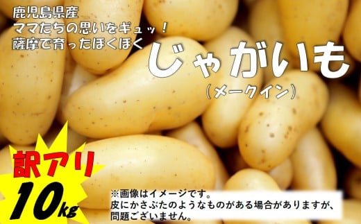 ZS-730 【訳アリでお得！】ママたちの思いをギュッ！薩摩で育ったほくほくじゃがいも10㎏（メークイン） 期間限定