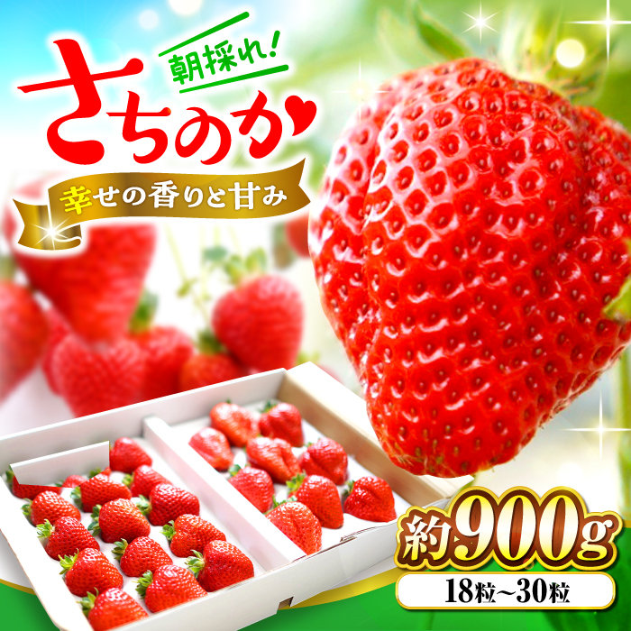 【数量限定70個】【先行予約】【1月上旬から順次発送】大前農園の完熟いちご（さちのか）数量限定 いちご 広島県 三次市/大前農園[APAS001]