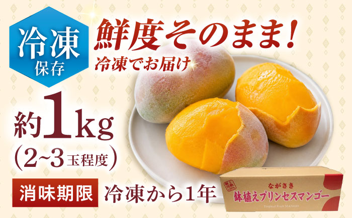 【先行予約】【冷凍】プリンセスマンゴー 約1kg [QAT013] [QAT013]