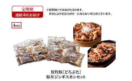 定期便 全4回 どろぶた 堪能食べ比べセット ブランド放牧豚 豚肉