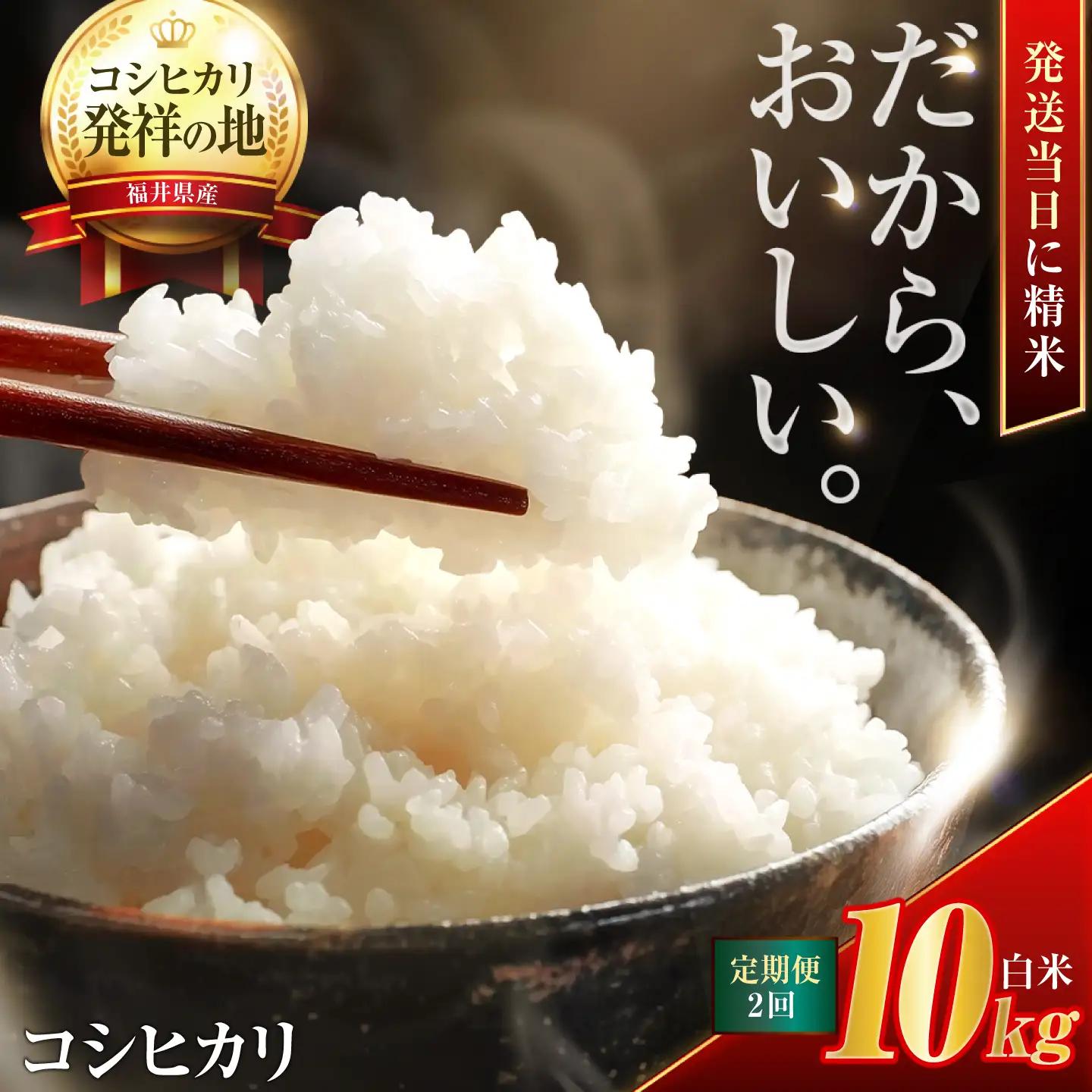 【2回定期便】お米 小浜市産コシヒカリ お米 10kg こめ ごはん 小浜市 梅田東米穀店[BFEK014]