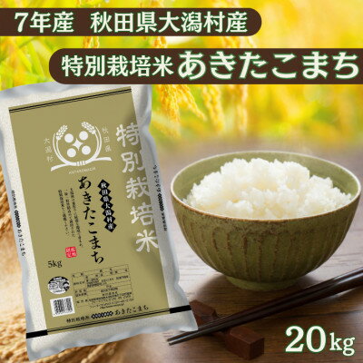 【ふるさと納税】あきたこまち20kg　秋田県産特別栽培米　5kg×4袋　大潟村のお米【令和7年産】精米【配送不可地域：離島・沖縄県】【1726003】