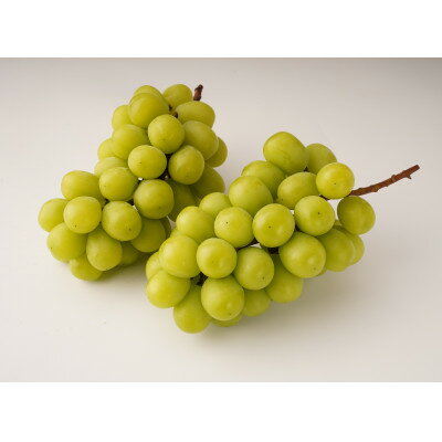 【ふるさと納税】シャインマスカット　約1.2kg(2～3房)【配送不可地域：離島・北海道・沖縄県】【1694698】