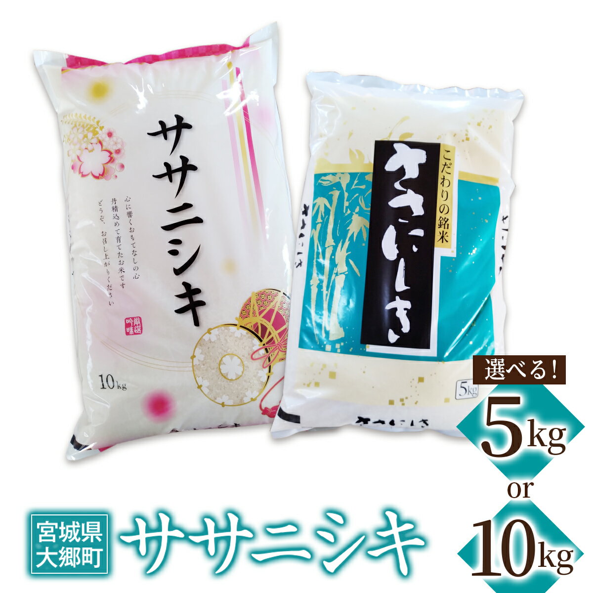 【ふるさと納税】令和7年産 ササニシキ (選べる容量：5kg／10kg)｜2025年 宮城産 大郷町 白米 米 コメ 精米 お米 こめ [0307-0309]