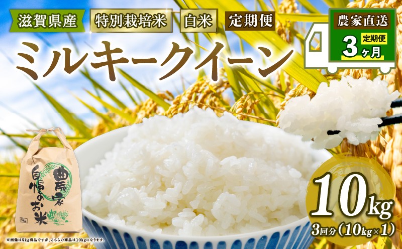 
            新米 特別栽培米 ミルキークイーン 令和7年産 米 10kg 白米 定期便 3ヶ月 計 30kg みるきーくいーん 2025年産 国産 農家直送 10kg × 3回 国産 農家直送 環境こだわり お試し用 お米 こめ おこめ 農家直送 産地直送 送料無料 
          