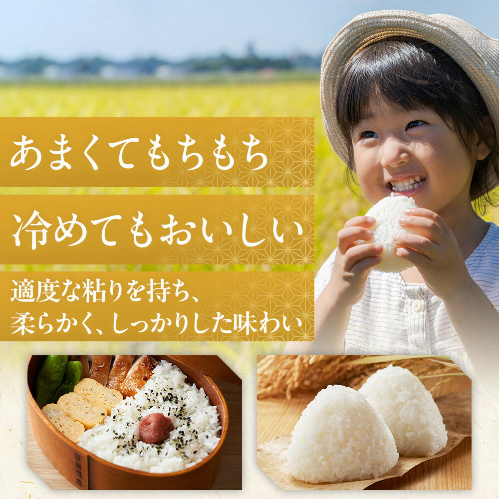 無洗米佐渡産コシヒカリ5kg195969-0016