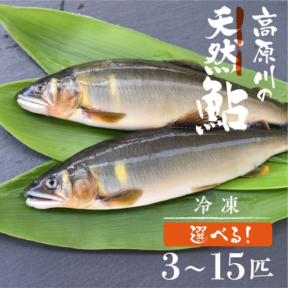 【ふるさと納税】＼2025年利き鮎グランプリ受賞／先行予約 高原川の天然鮎 3〜15匹(17~20cm) 鮎 あゆ アユ 川魚 魚 サカナ 高原川 天然 冷凍 個包装 アウトドア バーベキュー BBQ 魚 飛騨市 10000円 20000円 30000円 40000円 50000円 1万 2万 3万 4万 5万 ポッキリ