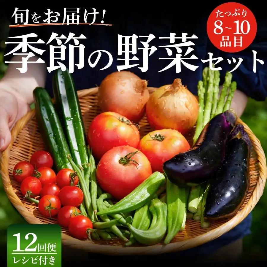 季節の野菜セット 12回 野菜定期便