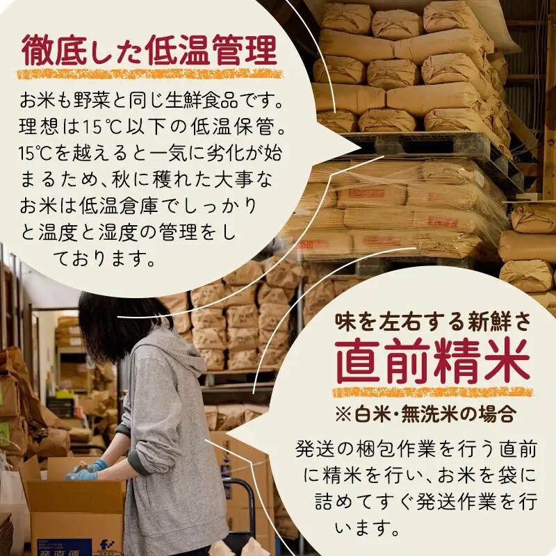 《令和8年産 新米受付》《1回のみお届け》【無洗米】通算5回特A 秋田県産ひとめぼれ 5kg(5kg×1袋) お米 米 こめ 藤岡農産