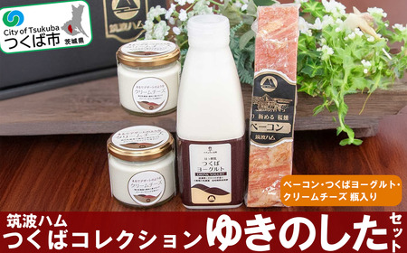 筑波ハム　つくばコレクション　ゆきのしたセット（ベーコン、つくばヨーグルト、クリームチーズ）【 豚肉 豚 ﾍﾞｰｺﾝ ﾍﾞｰｺﾝ 燻製 ﾁｰｽﾞ ﾍﾞｰｺﾝ ｸﾘｰﾑﾁｰｽﾞ ﾍﾞｰｺﾝ ﾖｰｸﾞﾙﾄ 茨城県 ﾍﾞｰｺﾝ つくば市 詰め合わせ 】