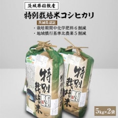 【令和6年産・新米】茨城県認証　特別栽培米コシヒカリ10kg(5kg×2袋)