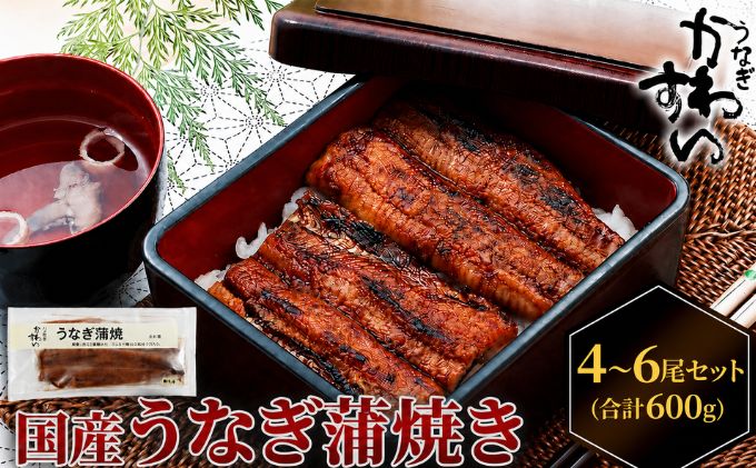 国産うなぎ  蒲焼き 4～6尾セット(合計600g) タレ付き 国産 うなぎ ウナギ 鰻 蒲焼 かば焼き セット 惣菜 冷凍 土用