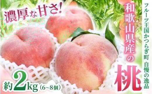 和歌山県産の桃 約2kg（6~8個） 【2025年7月上旬～8月上旬発送】 【Ei1】
